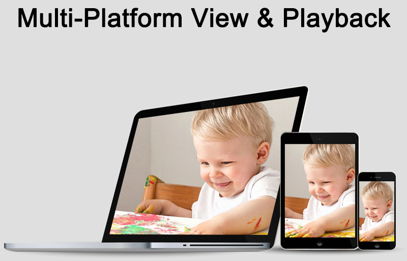 Dahua Security Camera (CCTVSG.net) Multi Platform View