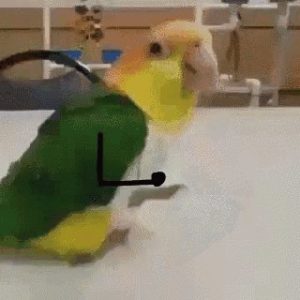 Read more about the article CCTV Funny Tweets – 10:32 PM – 5 Jul 2018