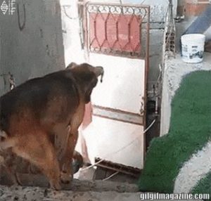 Read more about the article CCTV Funny Tweets – 10:58 AM – 3 Jul 2018
