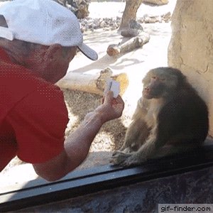 Read more about the article CCTV Funny Tweets – 1:56 AM – 21 Jul 2018