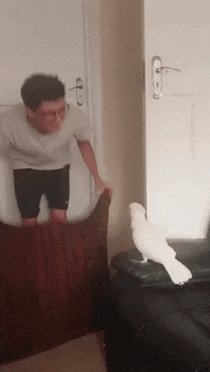 You are currently viewing CCTV Funny Tweets – 1:03 AM – 7 Jul 2018