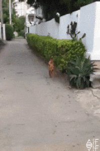 You are currently viewing CCTV Funny Tweets – 12:55 AM – 20 Jul 2018