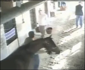Read more about the article CCTV Funny Tweets – 11:32 AM – 14 Jul 2018
