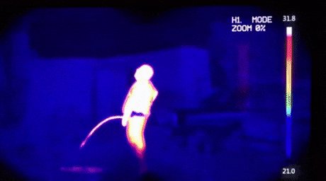 You are currently viewing CCTV Funny Tweets – 11:12 AM – 2 Aug 2018
