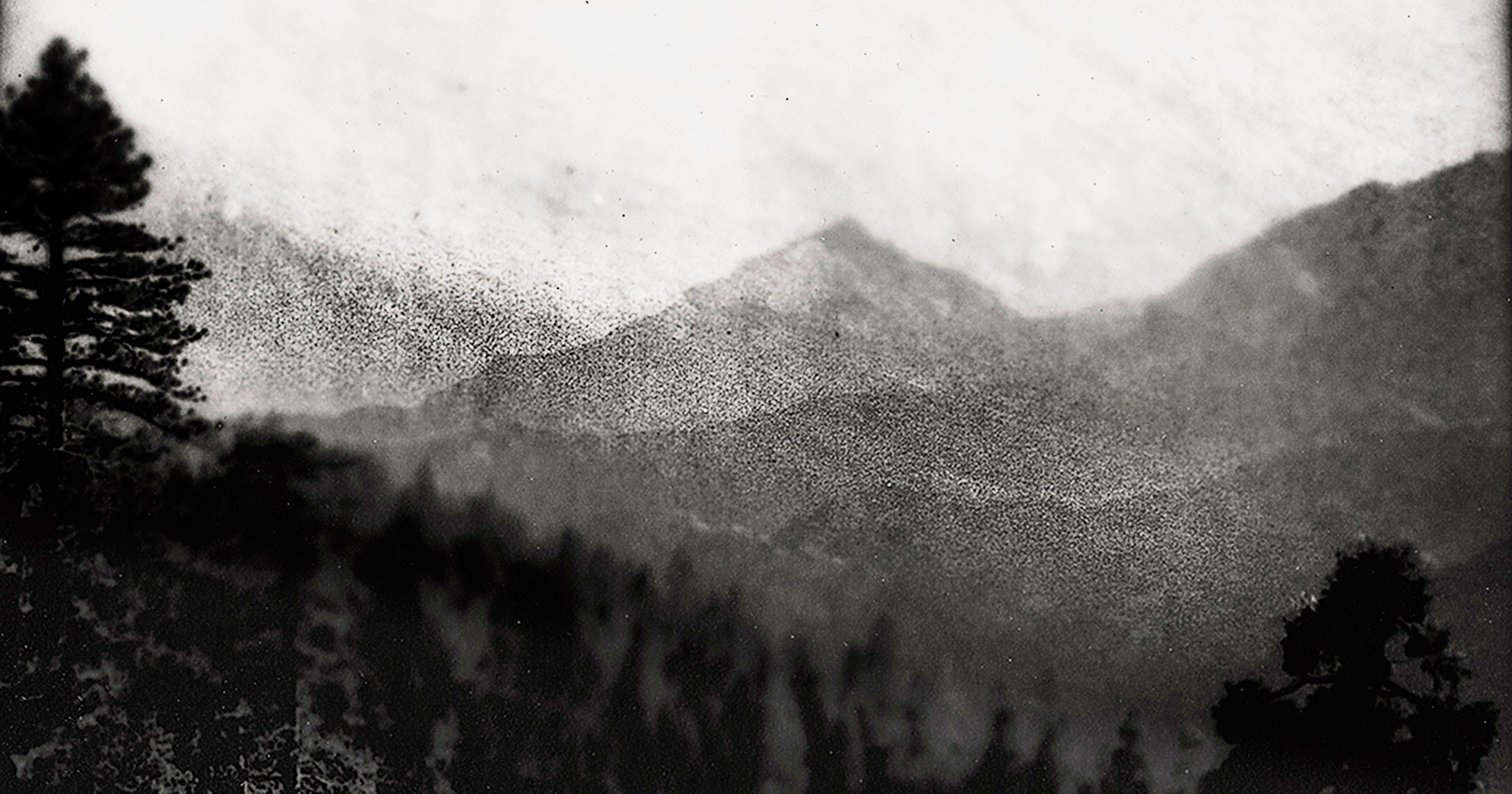 You are currently viewing Ah, the Beauty of Nature … Seen Through Creepy Webcams – CCTVSG.net